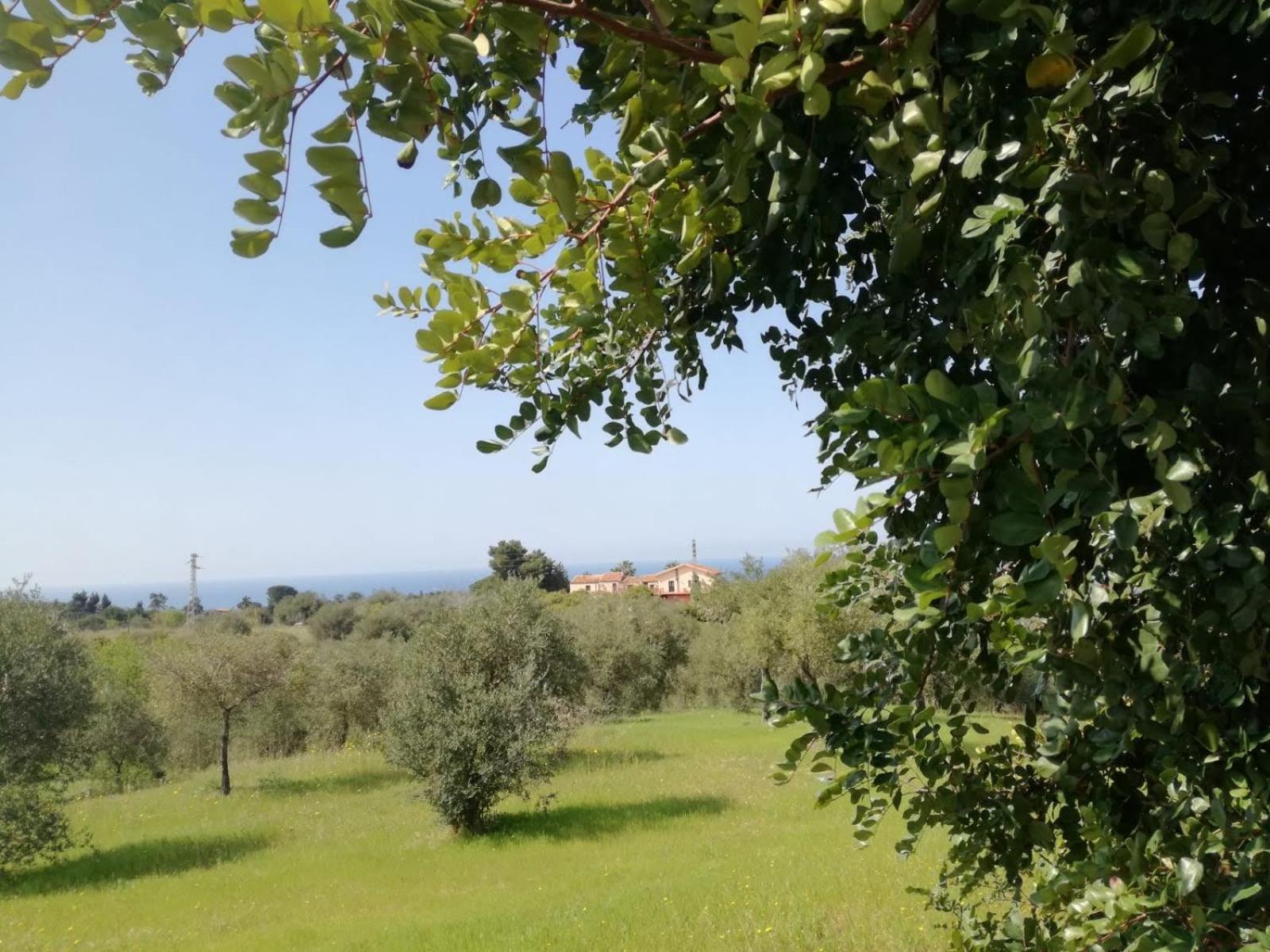 Il Casale Il Sole E La Margherita Кампофеличе ди Рокела Екстериор снимка